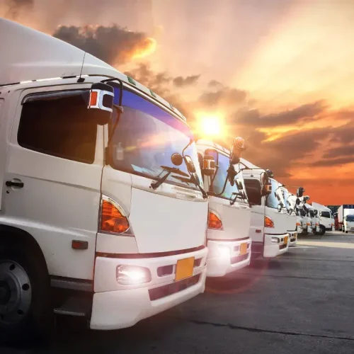 Por que a escolha do parceiro logístico certo é fundamental para o sucesso das empresas de e-commerce